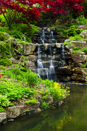 To use this stock image in your creative project, please select the size you need over to the right and click the "Add to Cart" button.
Your downloaded image will come with the Cutcaster watermark removed so don’t worry about the watermark you see on this page. Cascading waterfall and pond stock photo, Cascading waterfall and pond in japanese garden by Elena Elisseeva
