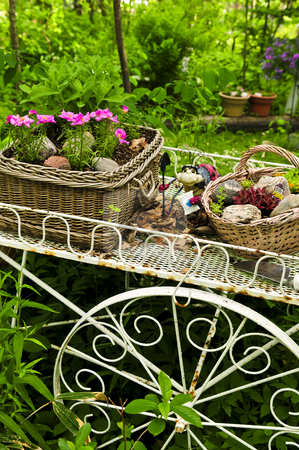 To use this stock image in your creative project, please select the size you need over to the right and click the "Add to Cart" button.
Your downloaded image will come with the Cutcaster watermark removed so don’t worry about the watermark you see on this page. Flower cart in garden stock photo, Flower cart with two baskets in summer garden by Elena Elisseeva