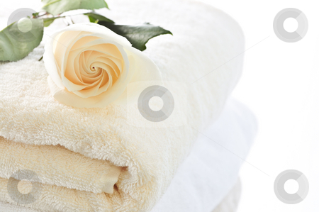 To use this stock image in your creative project, please select the size you need over to the right and click the "Add to Cart" button.
Your downloaded image will come with the Cutcaster watermark removed so don’t worry about the watermark you see on this page. Stack of towels and rose stock photo, Stack of soft luxury towels with fresh flower by Elena Elisseeva