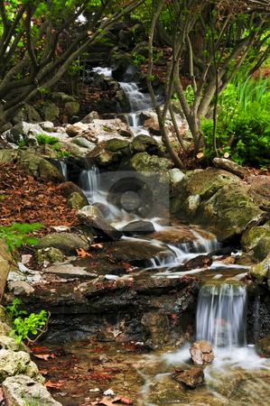 To use this stock image in your creative project, please select the size you need over to the right and click the "Add to Cart" button.
Your downloaded image will come with the Cutcaster watermark removed so don’t worry about the watermark you see on this page. Creek with waterfalls stock photo, Creek with small waterfalls in japanese zen garden by Elena Elisseeva