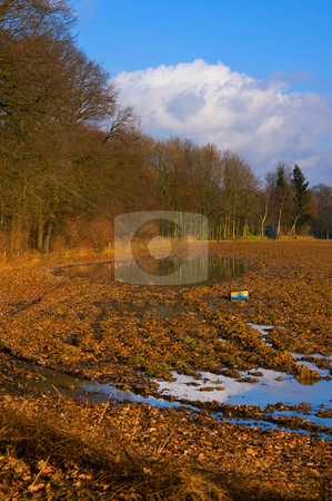 To use this stock image in your creative project, please select the size you need over to the right and click the "Add to Cart" button.
Your downloaded image will come with the Cutcaster watermark removed so don’t worry about the watermark you see on this page. Autumn acre stock photo, Acre with nice bright autumn colors by Karin Claus