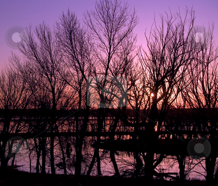 To use this stock image in your creative project, please select the size you need over to the right and click the "Add to Cart" button.
Your downloaded image will come with the Cutcaster watermark removed so don’t worry about the watermark you see on this page. Flood Abstract with Purple Sunset stock photo, Sunset on the flood of the James river in South Dakota by John McLaird