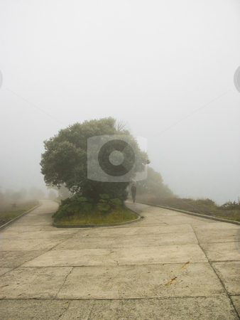 To use this stock image in your creative project, please select the size you need over to the right and click the "Add to Cart" button.
Your downloaded image will come with the Cutcaster watermark removed so don’t worry about the watermark you see on this page. Foggy scenery with tree stock photo, Foggy scenery with tree and human silhouette in the distance infront a nice pathway by Karin Claus