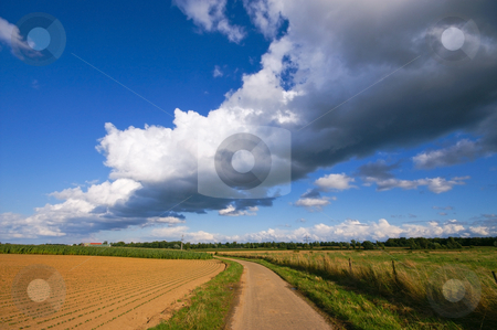 To use this stock image in your creative project, please select the size you need over to the right and click the "Add to Cart" button.
Your downloaded image will come with the Cutcaster watermark removed so don’t worry about the watermark you see on this page. Thunder cloud stock photo, Very big thunder cloud over a rural farmlandscape by Karin Claus