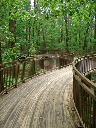 To use this stock image in your creative project, please select the size you need over to the right and click the "Add to Cart" button.
Your downloaded image will come with the Cutcaster watermark removed so don’t worry about the watermark you see on this page. Curved Path in the Woods stock photo, A raised, curved path winds through the woods in Arkansas. by Ben O'Neal