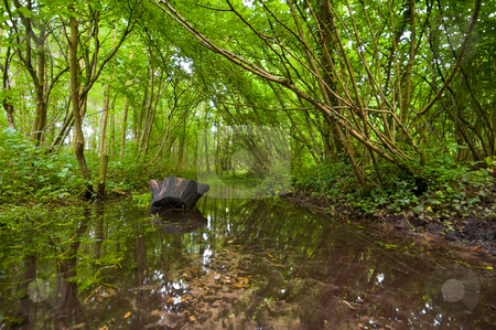 To use this stock image in your creative project, please select the size you need over to the right and click the "Add to Cart" button.
Your downloaded image will come with the Cutcaster watermark removed so don’t worry about the watermark you see on this page. Summer forest with creek stock photo, Summer forest with a running creek and some reflections in the water by Karin Claus