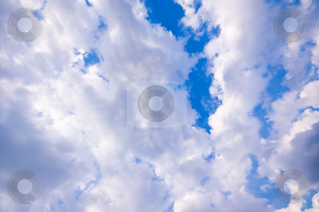To use this stock image in your creative project, please select the size you need over to the right and click the "Add to Cart" button.
Your downloaded image will come with the Cutcaster watermark removed so don’t worry about the watermark you see on this page. Clouds stock photo, Air, background, blue, clear, clouds, cloudscape, cloudy, day, environment, fluffy, idyllic, landscape, nature, outdoors, overcast, scene, scenic, sky, texture, weather, white by Karin Claus