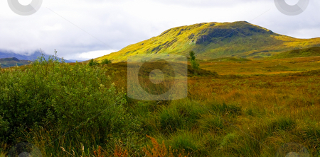 To use this stock image in your creative project, please select the size you need over to the right and click the "Add to Cart" button.
Your downloaded image will come with the Cutcaster watermark removed so don’t worry about the watermark you see on this page. Colorful mountain scape stock photo, Colorful mountain scape covered with autumn colored vegetation by Karin Claus