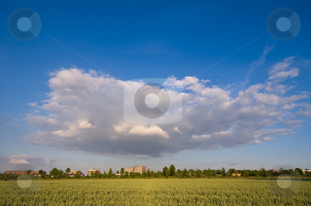 To use this stock image in your creative project, please select the size you need over to the right and click the "Add to Cart" button.
Your downloaded image will come with the Cutcaster watermark removed so don’t worry about the watermark you see on this page. Dramatic cloud stock photo, Dramatic cloud over rural farmland by Karin Claus