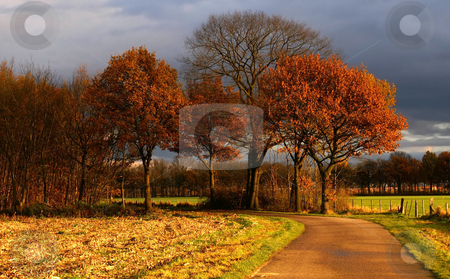 To use this stock image in your creative project, please select the size you need over to the right and click the "Add to Cart" button.
Your downloaded image will come with the Cutcaster watermark removed so don’t worry about the watermark you see on this page. Colorful autumn road stock photo, country road to some nice colored autumn trees with dark clouds in a rural environment by Karin Claus