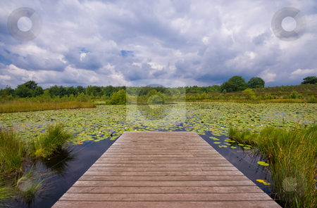 To use this stock image in your creative project, please select the size you need over to the right and click the "Add to Cart" button.
Your downloaded image will come with the Cutcaster watermark removed so don’t worry about the watermark you see on this page. Stormy clouds stock photo, Pier on a lake covered with water lilies and stormy clouds in the back by Karin Claus