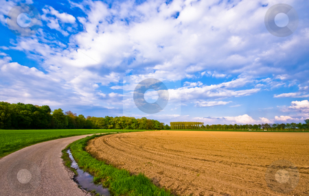 To use this stock image in your creative project, please select the size you need over to the right and click the "Add to Cart" button.
Your downloaded image will come with the Cutcaster watermark removed so don’t worry about the watermark you see on this page. Rural scenery stock photo, Country road through a rural farmlandscape with nice cloudscape by Karin Claus