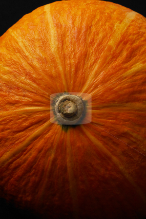 To use this stock image in your creative project, please select the size you need over to the right and click the "Add to Cart" button.
Your downloaded image will come with the Cutcaster watermark removed so don’t worry about the watermark you see on this page. Pumpkin stock photo, Fresh deep vivid yellow pumkin on black background by Francesco Perre