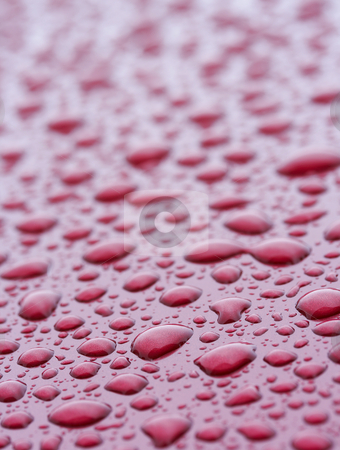 To use this stock image in your creative project, please select the size you need over to the right and click the "Add to Cart" button.
Your downloaded image will come with the Cutcaster watermark removed so don’t worry about the watermark you see on this page. Water red stock photo, A picture of water drops on a red metal surface by Glen Jones