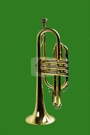 To use this stock image in your creative project, please select the size you need over to the right and click the "Add to Cart" button.
Your downloaded image will come with the Cutcaster watermark removed so don’t worry about the watermark you see on this page. Trumpet isolated on green stock photo, A trumpet isolated on a green background with a clipping path for easy removal by RCarner Photography