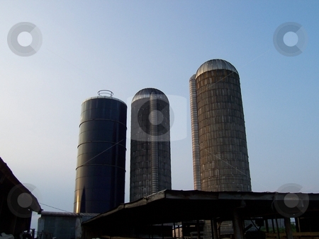 To use this stock image in your creative project, please select the size you need over to the right and click the "Add to Cart" button.
Your downloaded image will come with the Cutcaster watermark removed so don’t worry about the watermark you see on this page. Three Silos On a Dairy Farm in Tennessee stock photo, Two concrete silos and one metal silo on a dairy farm in Tennessee by Krystal McCammon