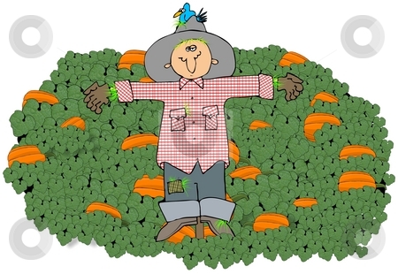 To use this stock image in your creative project, please select the size you need over to the right and click the "Add to Cart" button.
Your downloaded image will come with the Cutcaster watermark removed so don’t worry about the watermark you see on this page. Scarecrow In A Pumpkin Patch stock photo, This illustration depicts a scarecrow in the middle of a pumpkin patch. by Dennis Cox