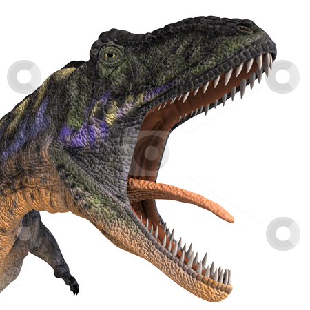 To use this stock image in your creative project, please select the size you need over to the right and click the "Add to Cart" button.
Your downloaded image will come with the Cutcaster watermark removed so don’t worry about the watermark you see on this page. Dinosaur Aucasaurus stock photo, Dinosaur Aucasaurus with clipping path over white by Ralf Kraft