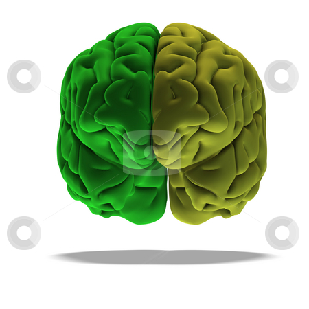 To use this stock image in your creative project, please select the size you need over to the right and click the "Add to Cart" button.
Your downloaded image will come with the Cutcaster watermark removed so don’t worry about the watermark you see on this page. Green brain stock photo, Dramatical render of a human brain in green with clipping path by Ralf Kraft
