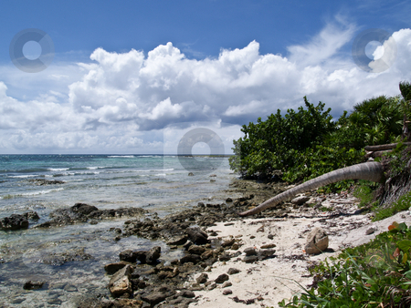 To use this stock image in your creative project, please select the size you need over to the right and click the "Add to Cart" button.
Your downloaded image will come with the Cutcaster watermark removed so don’t worry about the watermark you see on this page. Rocky Caribbean Shore stock photo, Blue sky, blue water, sunlit white clouds, surf and sand by Gary W. Sherwin