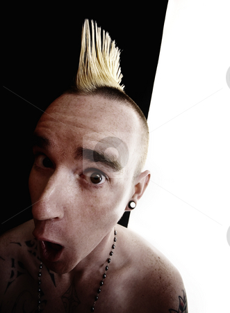 To use this stock image in your creative project, please select the size you need over to the right and click the "Add to Cart" button.
Your downloaded image will come with the Cutcaster watermark removed so don’t worry about the watermark you see on this page. Man with a Mohawk stock photo, Surprised shirtless man with a Mohawk hair style by Scott Griessel