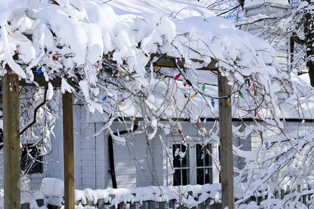 To use this stock image in your creative project, please select the size you need over to the right and click the "Add to Cart" button.
Your downloaded image will come with the Cutcaster watermark removed so don’t worry about the watermark you see on this page. Front yard of a house in winter stock photo, Front yard of a house covered with snow in winter Toronto by Elena Elisseeva