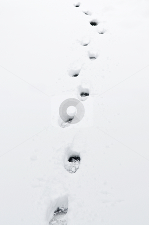 To use this stock image in your creative project, please select the size you need over to the right and click the "Add to Cart" button.
Your downloaded image will come with the Cutcaster watermark removed so don’t worry about the watermark you see on this page. Footprints in snow stock photo, Footprints in fresh pristine snow close up by Elena Elisseeva