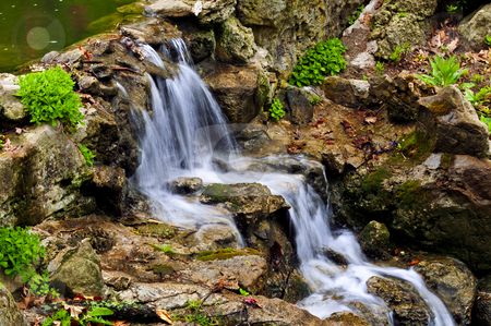 To use this stock image in your creative project, please select the size you need over to the right and click the "Add to Cart" button.
Your downloaded image will come with the Cutcaster watermark removed so don’t worry about the watermark you see on this page. Cascading waterfall stock photo, Cascading waterfall in japanese garden in springtime by Elena Elisseeva