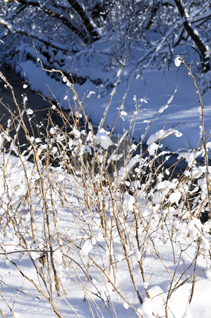To use this stock image in your creative project, please select the size you need over to the right and click the "Add to Cart" button.
Your downloaded image will come with the Cutcaster watermark removed so don’t worry about the watermark you see on this page. Winter landscape stock photo, Winter landscape with snow covered trees and river by Elena Elisseeva