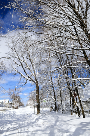 To use this stock image in your creative project, please select the size you need over to the right and click the "Add to Cart" button.
Your downloaded image will come with the Cutcaster watermark removed so don’t worry about the watermark you see on this page. Winter street stock photo, Winter street with lots of snow in Toronto by Elena Elisseeva