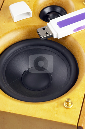 To use this stock image in your creative project, please select the size you need over to the right and click the "Add to Cart" button.
Your downloaded image will come with the Cutcaster watermark removed so don’t worry about the watermark you see on this page. Loudspeaker and usb key stock photo, Wood hi-fi loudspeaker with usb key on top by Francesco Perre