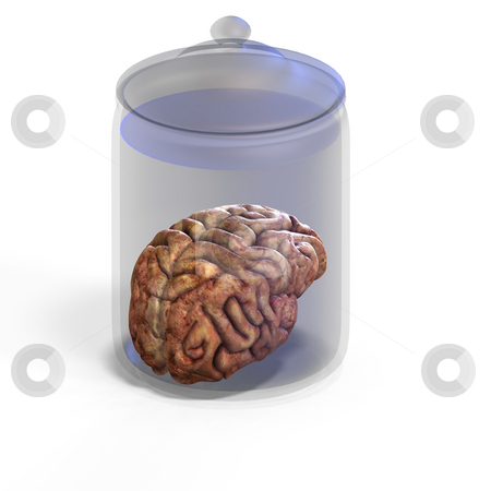 To use this stock image in your creative project, please select the size you need over to the right and click the "Add to Cart" button.
Your downloaded image will come with the Cutcaster watermark removed so don’t worry about the watermark you see on this page. Human brain stock photo, 3d render of a human brain laying in a jay with clipping path by Ralf Kraft