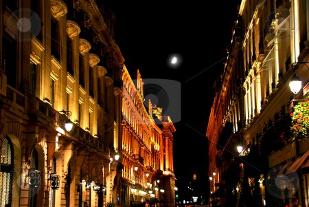 To use this stock image in your creative project, please select the size you need over to the right and click the "Add to Cart" button.
Your downloaded image will come with the Cutcaster watermark removed so don’t worry about the watermark you see on this page. City of Light stock photo, Illuminated street in Paris France with bright moon by Elena Elisseeva