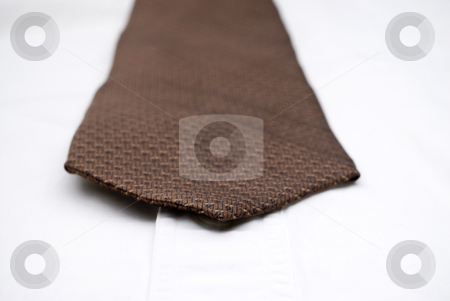 To use this stock image in your creative project, please select the size you need over to the right and click the "Add to Cart" button.
Your downloaded image will come with the Cutcaster watermark removed so don’t worry about the watermark you see on this page. Macro of a necktie on a white shirt stock photo, Shallow focus macro of a necktie on a white shirt by Vince Clements