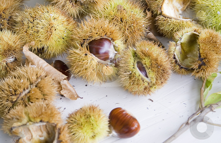 To use this stock image in your creative project, please select the size you need over to the right and click the "Add to Cart" button.
Your downloaded image will come with the Cutcaster watermark removed so don’t worry about the watermark you see on this page. Chestnuts stock photo, Chestnuts in a Provencal market in Autumn (French Riviera) by Serge VILLA