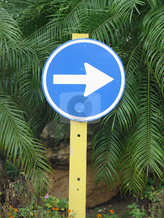 To use this stock image in your creative project, please select the size you need over to the right and click the "Add to Cart" button.
Your downloaded image will come with the Cutcaster watermark removed so don’t worry about the watermark you see on this page. Street direction sign stock photo, by Mbudley Mbudley