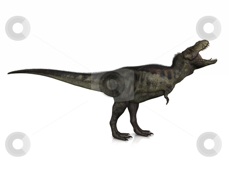 To use this stock image in your creative project, please select the size you need over to the right and click the "Add to Cart" button.
Your downloaded image will come with the Cutcaster watermark removed so don’t worry about the watermark you see on this page. Tyrannosaurus Rex stock photo, A Tyrannosaurus Rex poses on a slightly reflective floor. by Allan Tooley