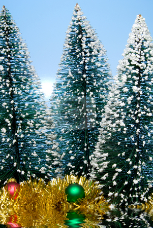 To use this stock image in your creative project, please select the size you need over to the right and click the "Add to Cart" button.
Your downloaded image will come with the Cutcaster watermark removed so don’t worry about the watermark you see on this page. Christmas Island stock photo, Christmas trees covered in snow by a lake.. by Robert Byron