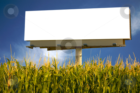 To use this stock image in your creative project, please select the size you need over to the right and click the "Add to Cart" button.
Your downloaded image will come with the Cutcaster watermark removed so don’t worry about the watermark you see on this page. Billboard in a field of corn stock photo, Empty billboard in a field of corn for you to advertise your message by Mitch Aunger