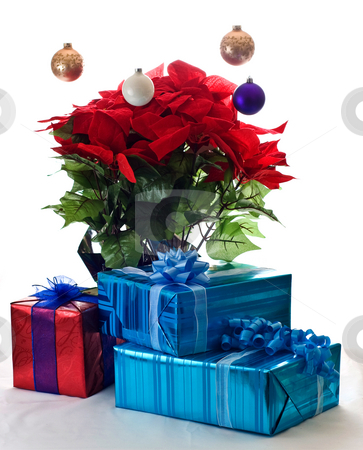To use this stock image in your creative project, please select the size you need over to the right and click the "Add to Cart" button.
Your downloaded image will come with the Cutcaster watermark removed so don’t worry about the watermark you see on this page. The Christmas spirit of giving stock photo, Presents and Poinsettia under floating ornaments. by RCarner Photography