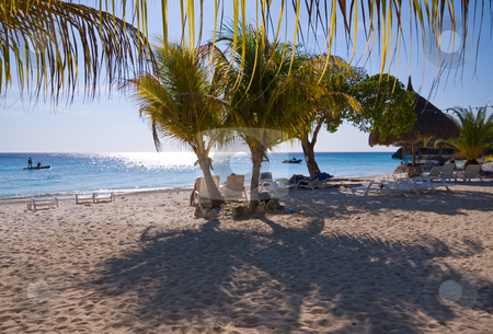 To use this stock image in your creative project, please select the size you need over to the right and click the "Add to Cart" button.
Your downloaded image will come with the Cutcaster watermark removed so don’t worry about the watermark you see on this page. Caribbean shady palm beach stock photo, Tropical beach with palm and soft shade in the sand and sunlight in the sea by Karin Claus
