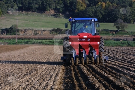 To use this stock image in your creative project, please select the size you need over to the right and click the "Add to Cart" button.
Your downloaded image will come with the Cutcaster watermark removed so don’t worry about the watermark you see on this page. A sunny day in october - time to prepare the garlic crop stock photo, A sunny day in october in the south of France (Dr??me). A Farmer is tilling his garlic-field. The white garlic of the Dr??me-Departement is one of the most famous varieties in the world. by Michael Schweres