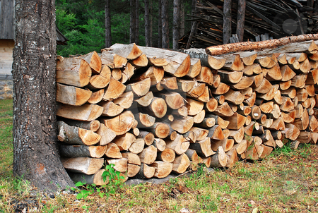 To use this stock image in your creative project, please select the size you need over to the right and click the "Add to Cart" button.
Your downloaded image will come with the Cutcaster watermark removed so don’t worry about the watermark you see on this page. Wood pile stock photo, Wood in pile by tree in forest outdoor by Julija Sapic