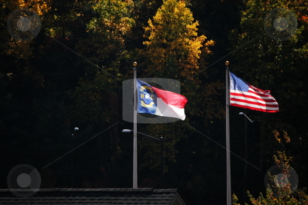 To use this stock image in your creative project, please select the size you need over to the right and click the "Add to Cart" button.
Your downloaded image will come with the Cutcaster watermark removed so don’t worry about the watermark you see on this page. Flags of the south stock photo, North Carolina and American flag blowing in the breeze by Tim Markley