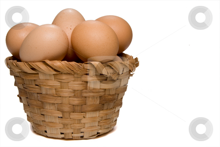 To use this stock image in your creative project, please select the size you need over to the right and click the "Add to Cart" button.
Your downloaded image will come with the Cutcaster watermark removed so don’t worry about the watermark you see on this page. Egg Basket stock photo, Never put all of your eggs in one basket. by Robert Byron