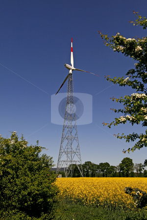 To use this stock image in your creative project, please select the size you need over to the right and click the "Add to Cart" button.
Your downloaded image will come with the Cutcaster watermark removed so don’t worry about the watermark you see on this page. Wind power station with rape field in Bad Iburg, Lower Saxony, Germany stock photo, Wind power station with rape field in Bad Iburg, Lower Saxony, Germany by Lothar Hinz