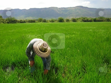 To use this stock image in your creative project, please select the size you need over to the right and click the "Add to Cart" button.
Your downloaded image will come with the Cutcaster watermark removed so don’t worry about the watermark you see on this page. Not for sale demo stock photo, Not for sale demo by Cutcaster Account