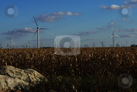 To use this stock image in your creative project, please select the size you need over to the right and click the "Add to Cart" button.
Your downloaded image will come with the Cutcaster watermark removed so don’t worry about the watermark you see on this page. Wind turbine power source stock photo, Late afternoon sun shines on a group of wind turbines surrounded by fields of corn in a southern Minnesota. by Dennis Thomsen