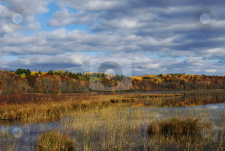 To use this stock image in your creative project, please select the size you need over to the right and click the "Add to Cart" button.
Your downloaded image will come with the Cutcaster watermark removed so don’t worry about the watermark you see on this page. Fall color and fantastic sky stock photo, A small corner of a Minnesota lake basks in the warm glow of afternoon sunshine and the full color of fall, enhanced by a beautiful sky. by Dennis Thomsen