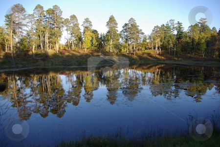 To use this stock image in your creative project, please select the size you need over to the right and click the "Add to Cart" button.
Your downloaded image will come with the Cutcaster watermark removed so don’t worry about the watermark you see on this page. Minnesota reflecting pond stock photo, A small pond in Minnesota's Itasca State Park provides an interesting reflection of sky and trees on a calm fall afternoon. The park is a favorite tourist destination in Minnesota by Dennis Thomsen